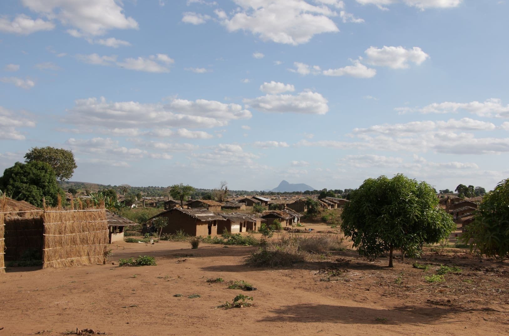 Vägivaldne tagakiusamine Mosambiigis