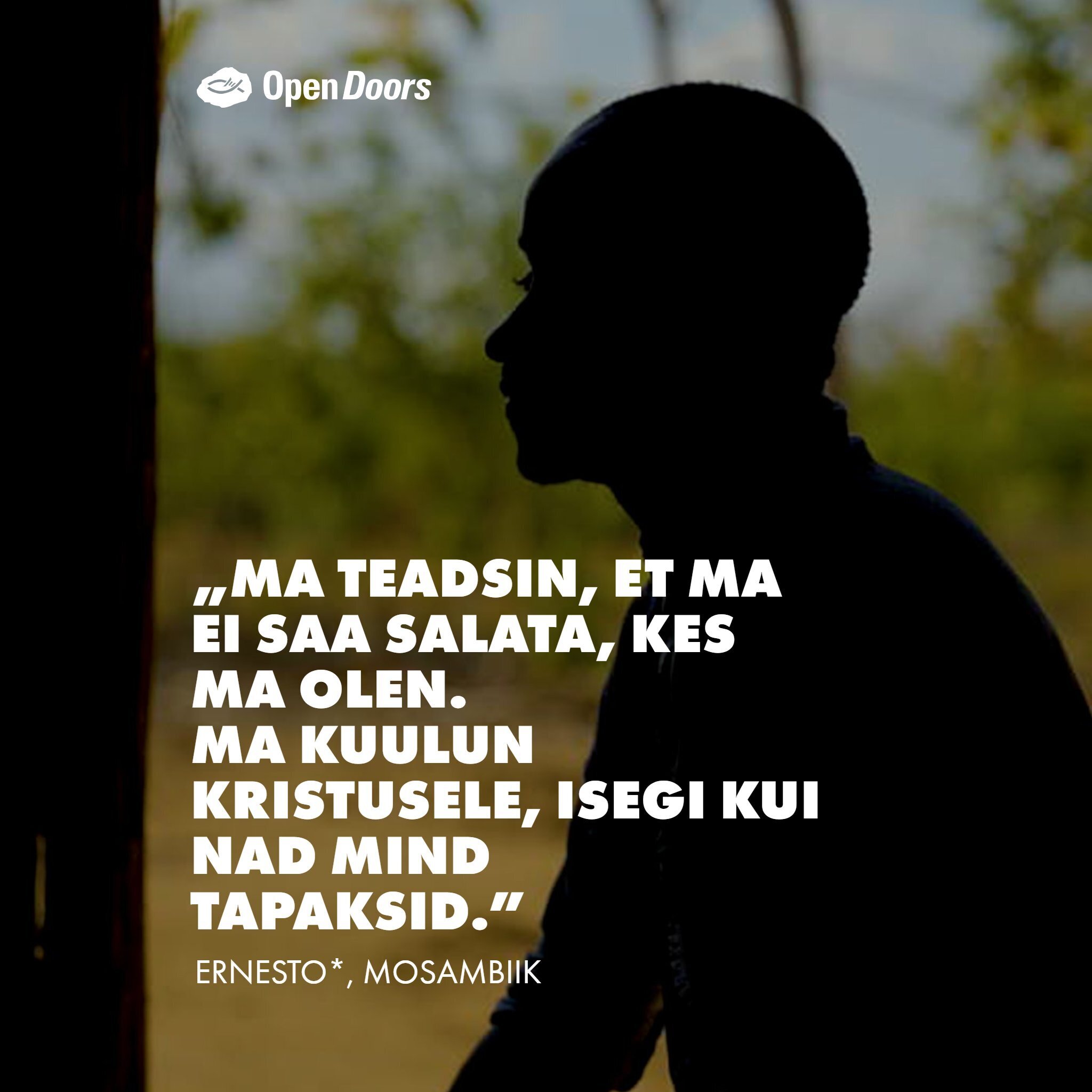 Ernesto tunnistus Mosambiigis