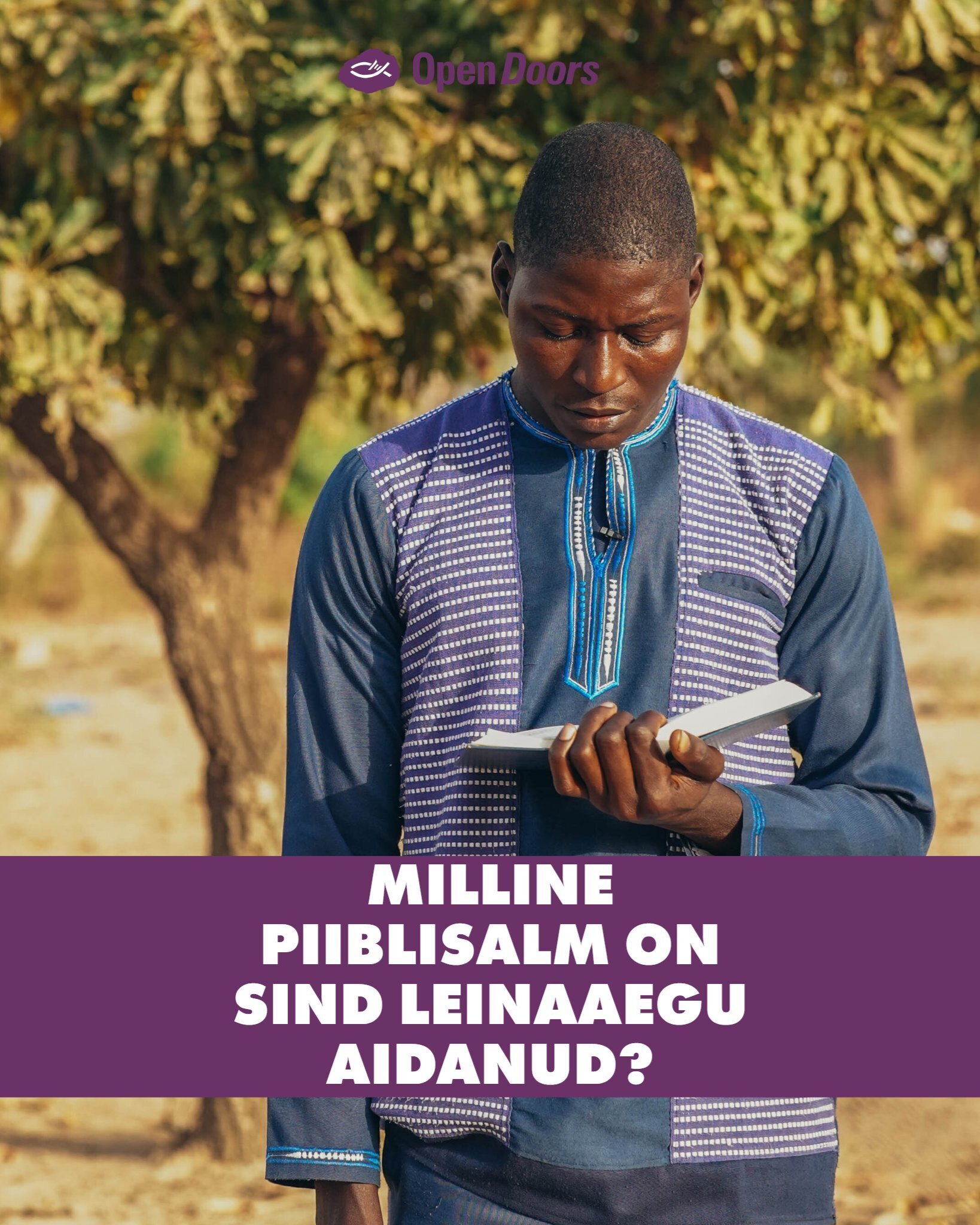 Milline piiblisalm on sind leinaaegu aidanud?